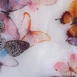 Natural Butterflies 1.