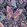 Patterned Butterfly 2.