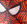 Spidey